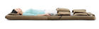 001814 France Bedltd Japan Shiatsu