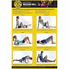05-61214 Golds Gym Muscle Massage 018713612144