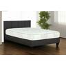 40421 Primo International Zana Pocket Coil Mattress Twin 056449831798