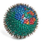 709466194970 Unbranded Lyapko Acupuncture Massage Ball Ag Needles Acupressure