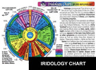 815313 Inner Light Resources Iridology 804605003097