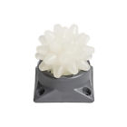Boa Rumble Roller Beastie Original 738598913289