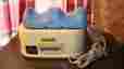 Cn-305 Evergain Aerobic Exerciser Stress Buster Machine Model