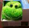 H-2346-1f Frog Unbranded Animal Shaped Massager Stuffed New In Box Battery Operated 015191910380