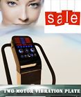 Pro1500wdual Symbolicspas New Dual Motor Whole Body Power Vibe 634949213391