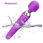 Q02-0001 Paloqueth Wand Massager Paloqeth 611165011147