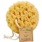 Retail265801 Retail Imports Sea Foam 606292992506