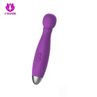 Se1102 Blissjoy Premium Magic Wand 612085794844