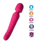 Szas0014 Byl Portable Telescopic Back Scratcher Extendable Massagers Retractable Pet
