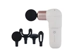 Bodyfriend Mini Gun BFA-1000 Portable Massager 4 Heads 5 Speeds. Fixed Price $133.99.