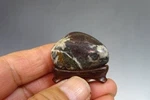 Japan Neo Kikka Chrysanthemum Stone Suiseki Natural W/ Pedestal W1.5" *798. Fixed Price $219.76.
