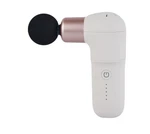 Bodyfriend Mini Massage Gun / Express Fedex. Fixed Price $138.19.