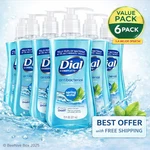 Dial Antibacterial Liquid Hand Soap Spring Water 7.5OZ, Blue 6 Pack. Fixed Price $23.99.