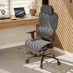 Deluxe Mesh Ergonomic Office Chair With Adjustable Lumbar Support. Fixed Price $152.99.