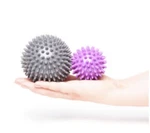 Bulk Russian Pointe Spiky Massage Ball Foot Arch Trainer Plantar Fasciitis 25. Fixed Price $39.00.