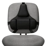 Fellowes Professional Series Back Support, Black (8037601) True,. Fixed Price $94.07.