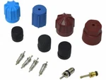 For 1978-1990 Dodge Omni A/c System Valve Core And Cap Kit 41736WS 1979 1980. Fixed Price $19.34.