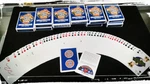 That Deaf Guy Classic Edition Playing Cards Deck Brand New. Fixed Price $10.95.