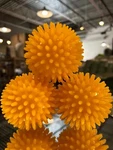 6 Massage Ball's 8CM Yellow Plantar Fasciitis Sciatica Relief -shoulder. Fixed Price $20.00.