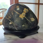 Neo Peony Stone Decorative Floral Pattern Suiseki Natural. Fixed Price $401.00.
