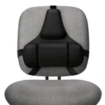 Fellowes Professional Series Back Support, Black (8037601) -. Fixed Price $64.16.