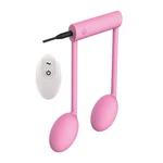 Nasstoys The Beat Remote Note Vibe NW3201-1 Control Dual Motor. Fixed Price $38.99.