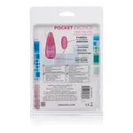 Calexotics Pocket Vibrating Passion Bullet HP-SE1102042. Fixed Price $12.99.