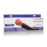 Calexotics Miracle Massager Body Wand HP-SE2089003. Fixed Price $43.99.