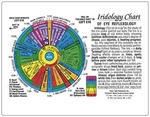 Iridology Chart Of Eye Reflexology (rainbow Coded) The Inner Light. Fixed Price $11.99.