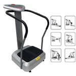 110V Whole Body Vibration Fat Shedding Machine Crazy Fit Exercise Massager. Fixed Price $590.59.