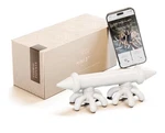 Mini 2 By Ashley Black - Patented Cellulite & Fasciablaster Tools Handheld .... Fixed Price $38.00.