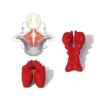 Littlemum Trapezius Trigger Point Massager, Myofasical Release Neck And Shoul.... Fixed Price $135.97.