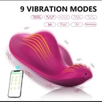 Rechargeable Intimate Personal Massager 9 Vibration Modes App Control. Fixed Price $29.99.