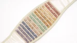 Multi-stones Deep Heating Far-infrared Therapy Belt. Fixed Price $97.99.