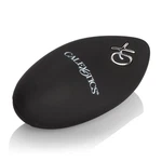 Calexotics Silicone Remote Rechargeable Egg Vibrator HP-SE0077303. Fixed Price $42.99.