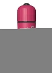 Screaming 4T Bullet Vibrator. Fixed Price $11.99.