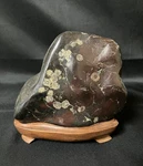 Japanese Viewing Stone Ornament Suiseki Chrysanthemum Natural Gifu. Fixed Price $240.00.