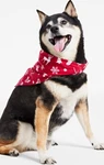 Family Pj S Merry Cotton Printed Pet Bandana, Red, L/xl. Fixed Price $7.50.