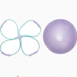 Gaiam Ultimate Core Toning Kit. Fixed Price $21.60.