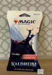 Magic Gathering - Kaldheim (12 Card Set Booster)distressed Box,new. Fixed Price $12.99.
