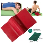 Lyapko Acupuncture Mat Big Pad 6,2 Acupressure Applicator Massager. Fixed Price $144.15.
