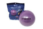 Tune Up Fitness Coregeous Ball Massage Abdominal & Lower Back Gently Used. Fixed Price $11.99.